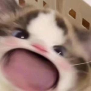 欧美自慰高潮在线观看
