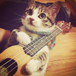 欧美自慰高潮在线观看
